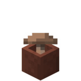 Посаженный коричневый гриб.png